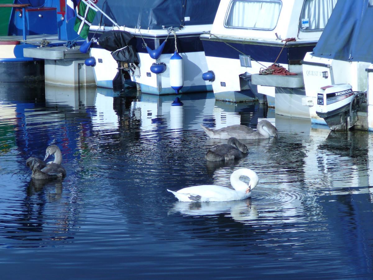 The Boat House Ξενοδοχείο Kilsyth Εξωτερικό φωτογραφία